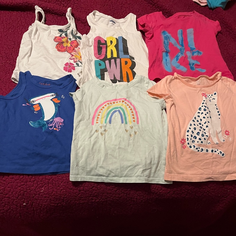 Huge Lot of Girls 2T Clothes